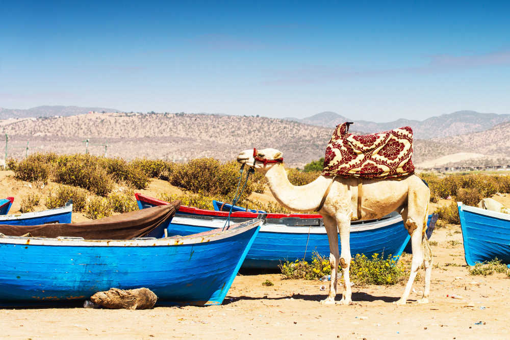 Cheap Flights To Morocco BudgetAir co uk