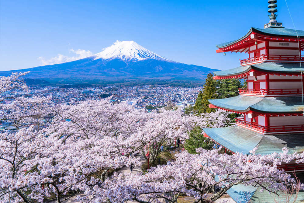 Spring and Summer ideas in Japan | CheapTickets.sg