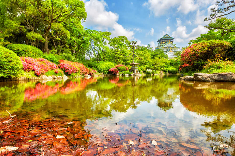 Cheap flights to Osaka BudgetAir.co.uk