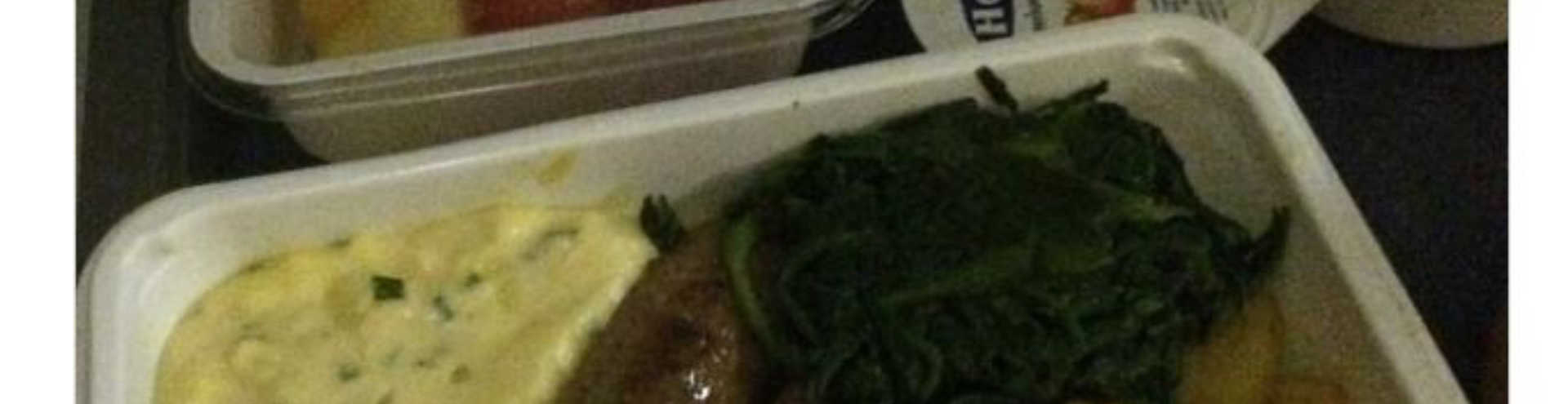 //s1.travix.com/bl/blog-planefood-3-xlarge.jpg