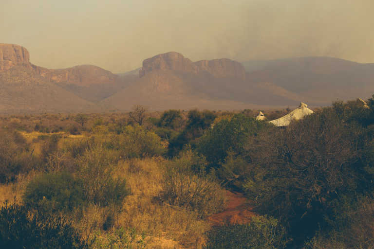 GUESTBLOGGER-WAH-africa-south-africa-marataba-safari-lodge1 GUESTBLOGGER-WAH-africa-south-africa-marataba-safari-lodge1