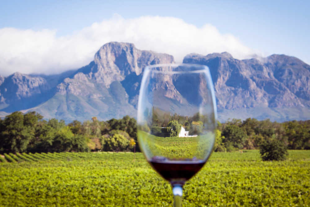 Best Wines of Africa| CheapTickets.hk Blog
