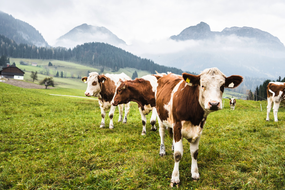 Kombinierte OneWay Flüge CheapTickets.ch Blog