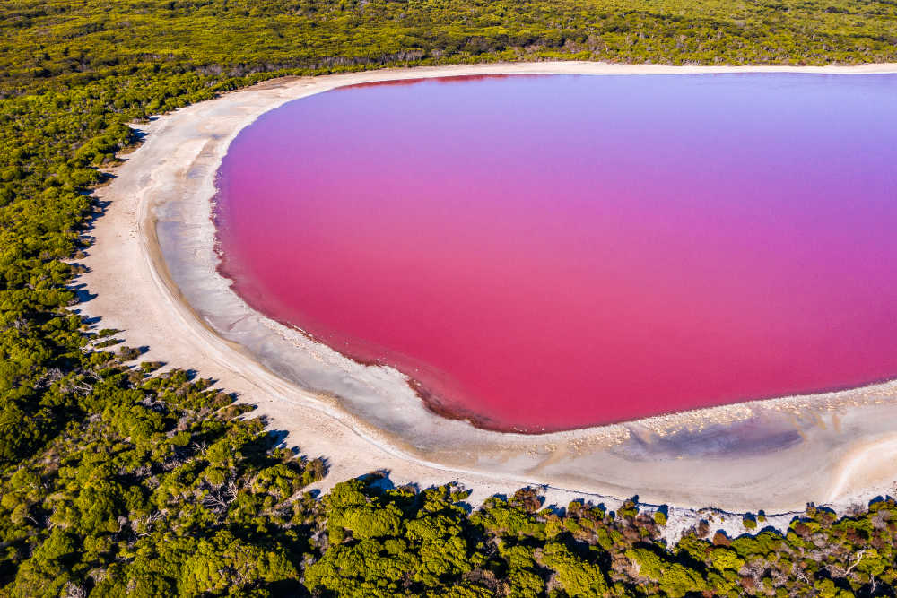 17 Awe-inspiring Pink Lakes Around the World You Need to See