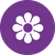 icons_spring_bua_purple