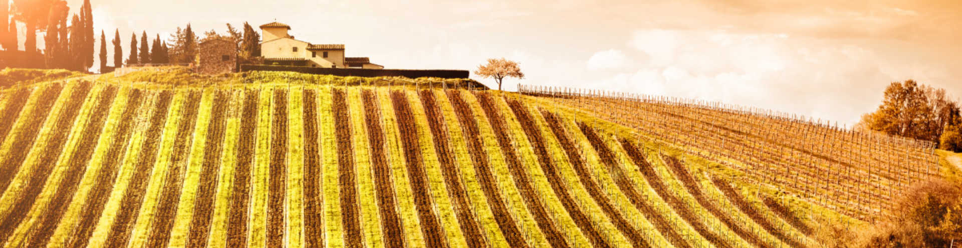 //s1.travix.com/ge/general-blog-wedding-tuscany-xlarge.jpg