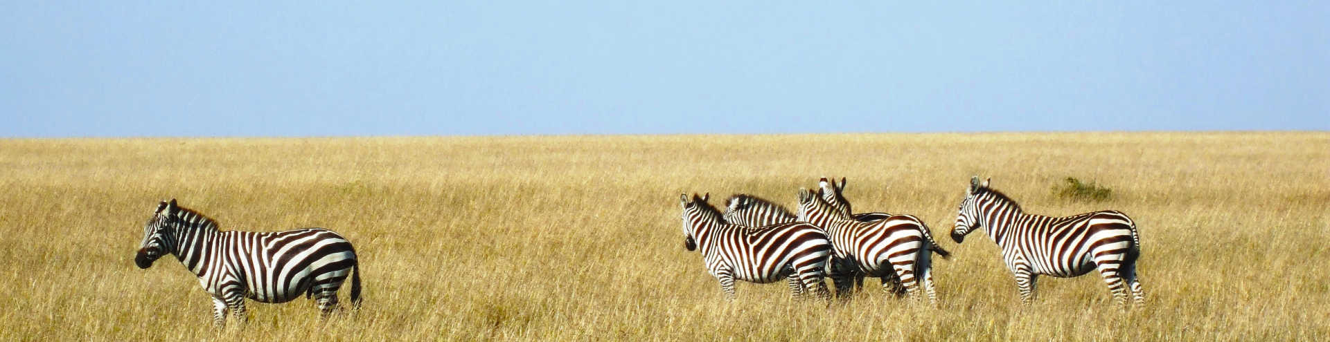 The best places to go on holiday in Africa