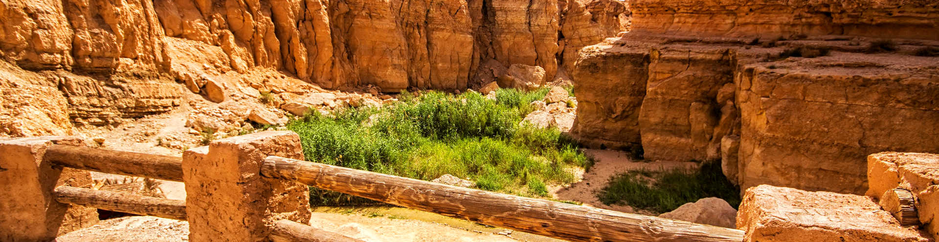 https://s1.travix.com/af/africa-tunisia-tozeur-oasis-canyon-xlarge.jpg