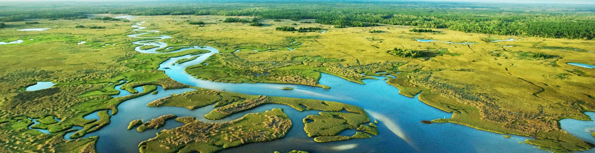https://s1.travix.com/am/america-florida-everglades-xlarge.jpg