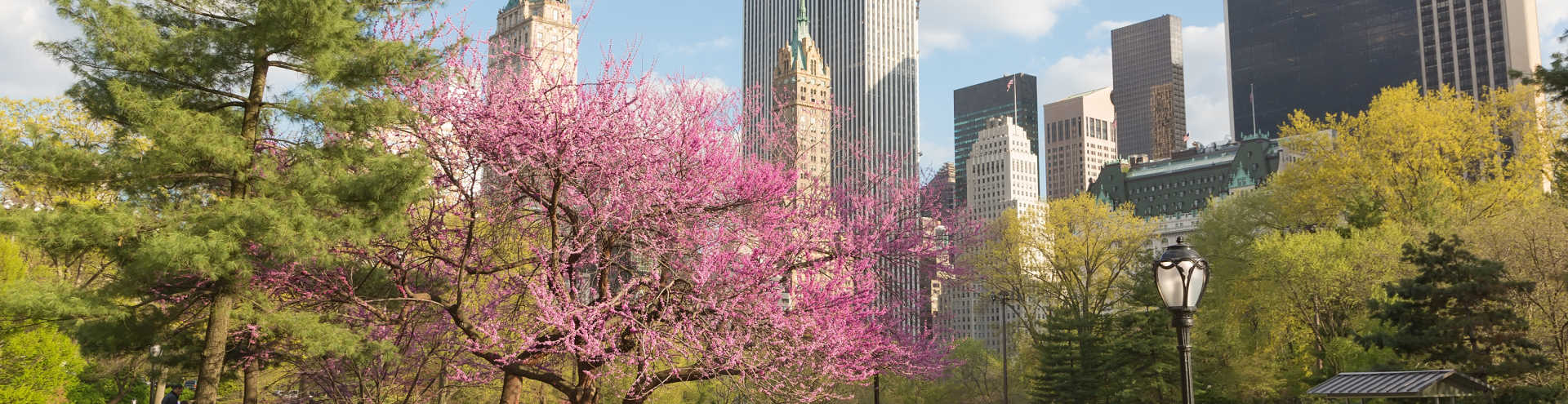 //s1.travix.com/am/america-new-york-spring-blossom-xlarge.jpg