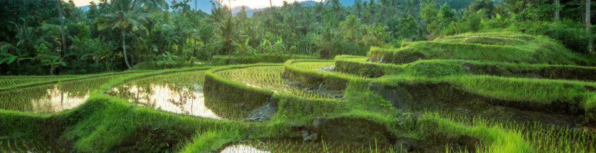 De 5 mooiste plekken op Bali die je met eigen ogen moet zien