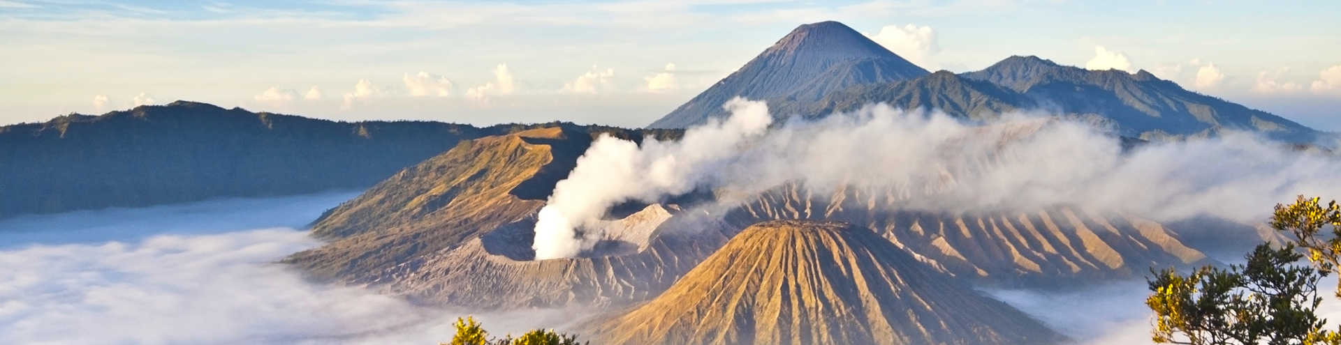 https://s1.travix.com/as/asia-indonesia-surabaya-national-park-xlarge.jpg