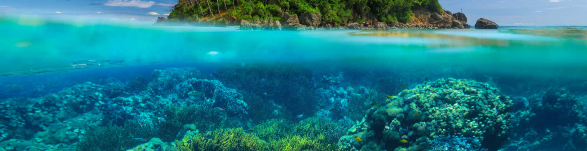 https://s1.travix.com/as/asia-philippines-islands-xlarge.jpg