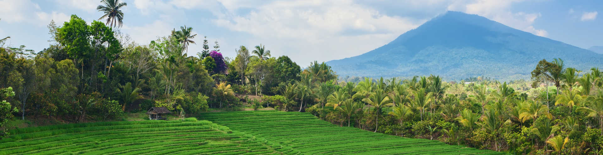 https://s1.travix.com/as/asia-philippines-rice-terrace-xlarge.jpg