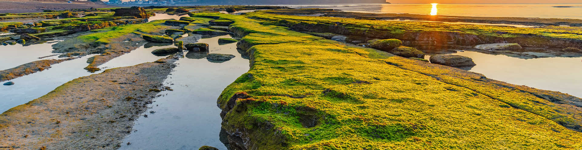 Colourful Korea Part II: Carrie’s 5D4N Jeju Island Discovery Trip