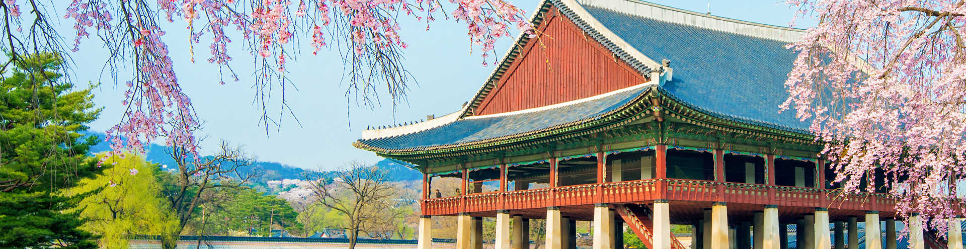 https://s1.travix.com/as/asia-south-korea-seoul-palace-garden-spring-xlarge.jpg