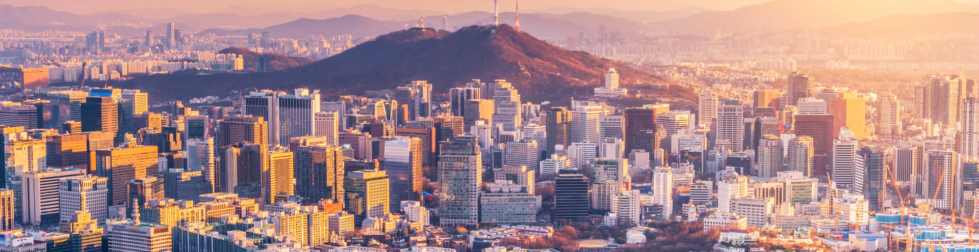 See Super Cool Seoul