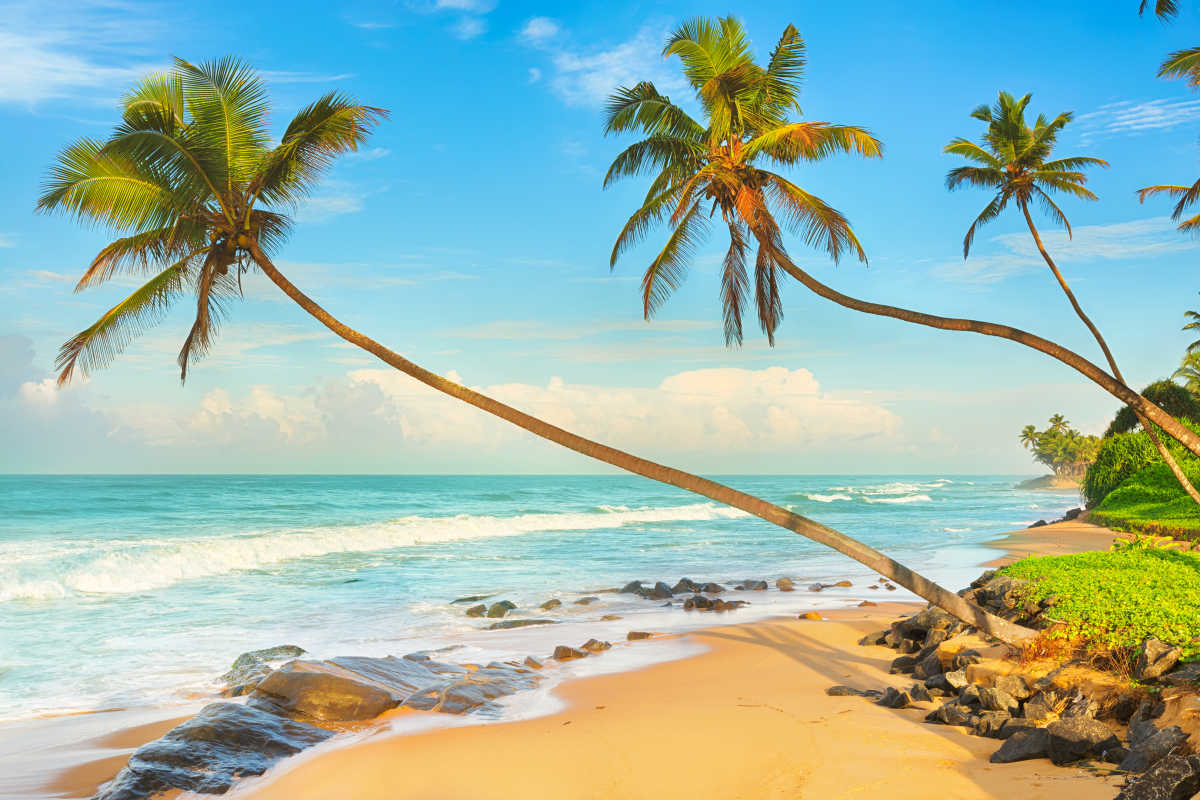 Unsere Insidertipps für Colombo