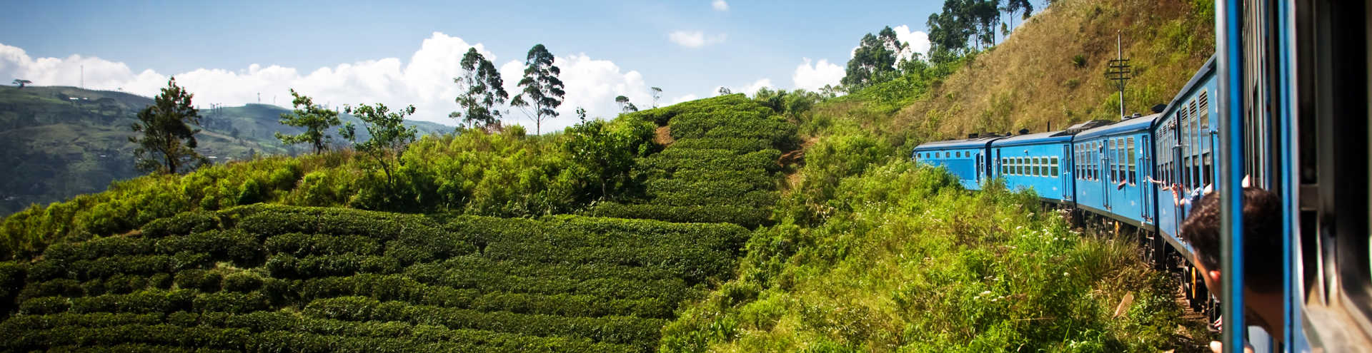 https://s1.travix.com/as/asia-sri-lanka-train-rice-fields-landscape-xlarge.jpg