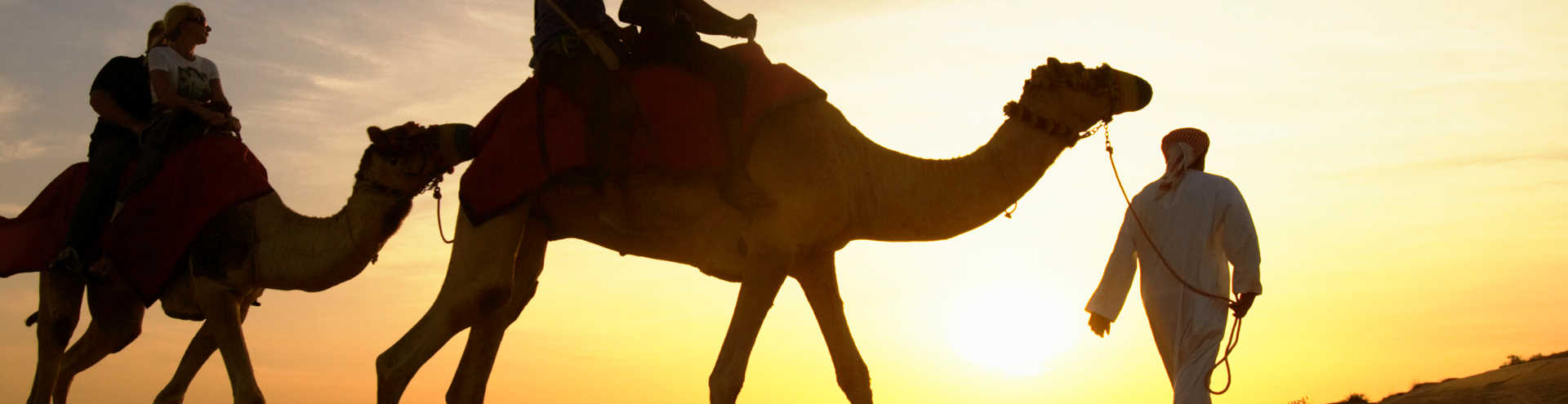 https://s1.travix.com/as/asia-united-arabic-emirates-dubai-desert-camel-tour-xlarge.jpg