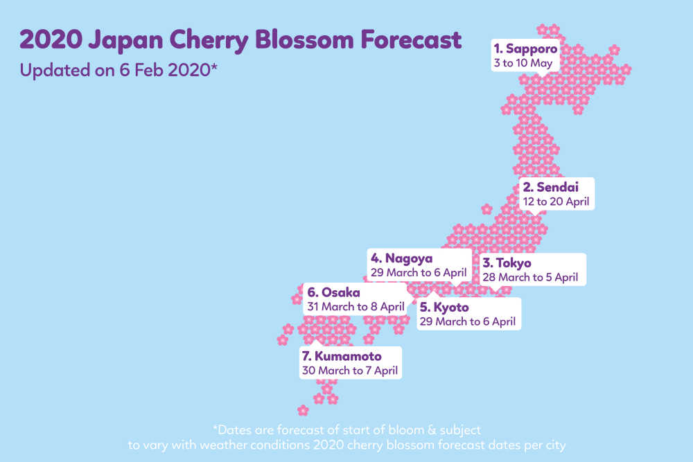 2020 Cherry Blossom Forecast: When & Where to See | BudgetAir® Australia