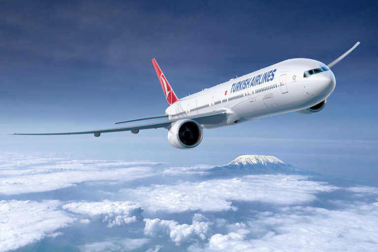 Kwestie Kiwi In de omgeving van Turkish Airlines Check-in & Baggage | BudgetAir.com