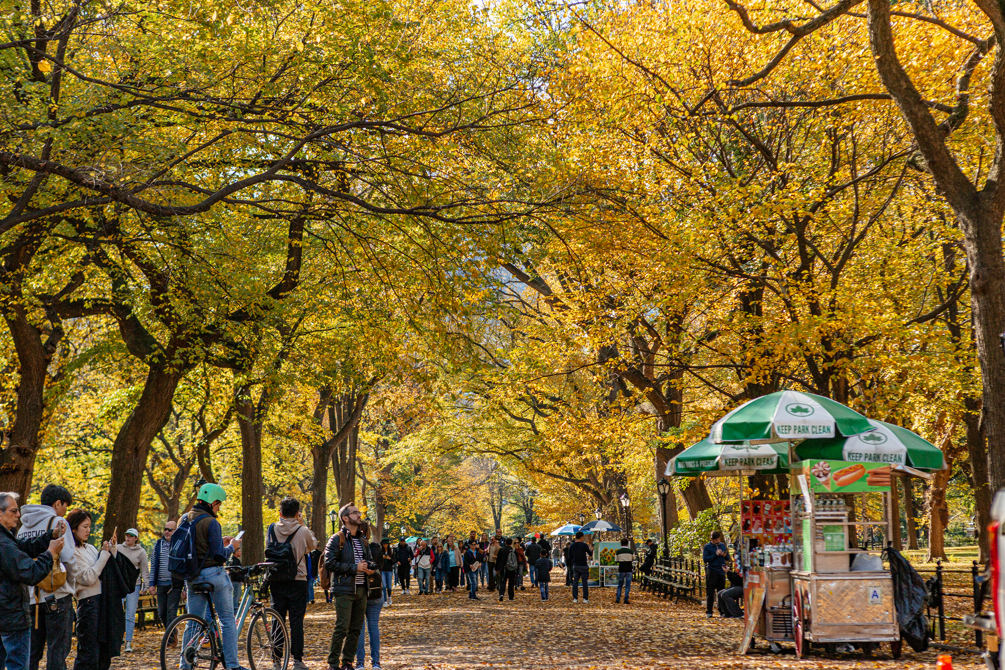 https://s1.travix.com/blog/Central-Park-Manhattan-NYC-Photo-Brittany-Petronella.png https://s1.travix.com/blog/Central-Park-Manhattan-NYC-Photo-Brittany-Petronella.png