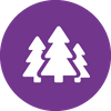 icons_nature_bua_purple