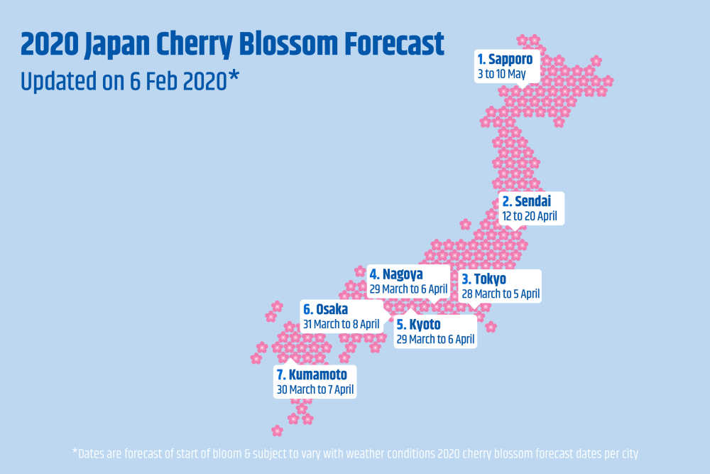 2020 Cherry Blossom Forecast: When & Where To See | CheapTickets.co.th™