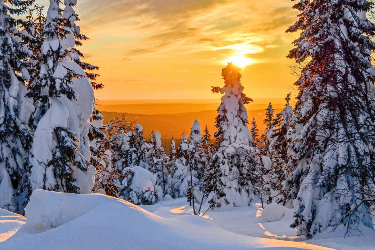 https://s1.travix.com/eu/europe-finland-lapland-snow-sun-large.jpg
