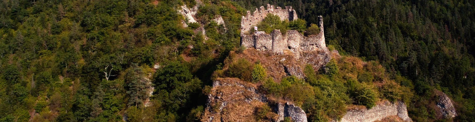 https://s1.travix.com/eu/europe-georgia-borjomi-petre-castle-xlarge.jpg