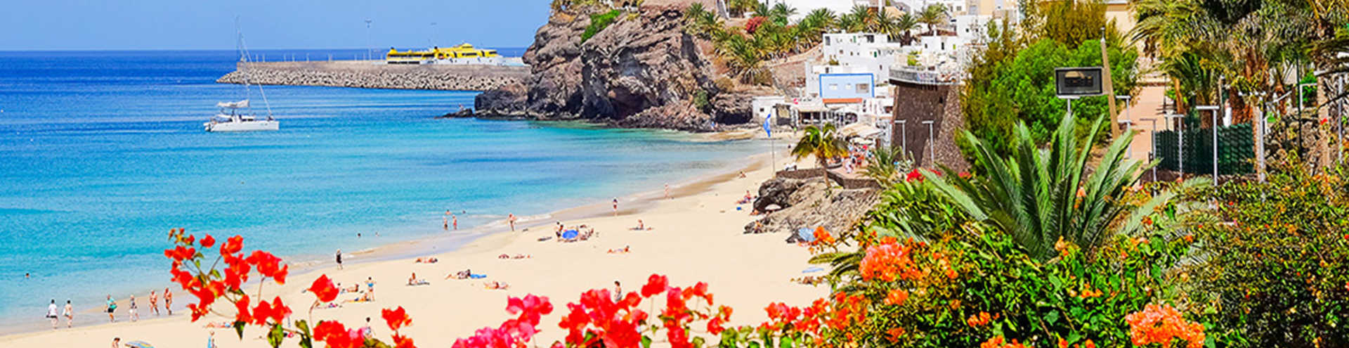 //s1.travix.com/eu/europe-spain-canary-islands-flowers-xlarge.jpg