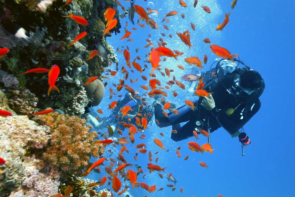 https://s1.travix.com/ge/general-diving-large.jpg