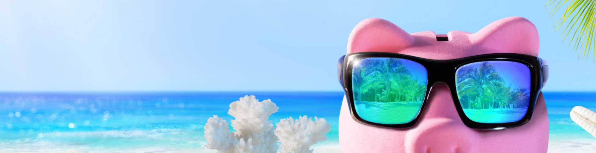 https://s1.travix.com/ge/general-pig-save-xlarge.jpg