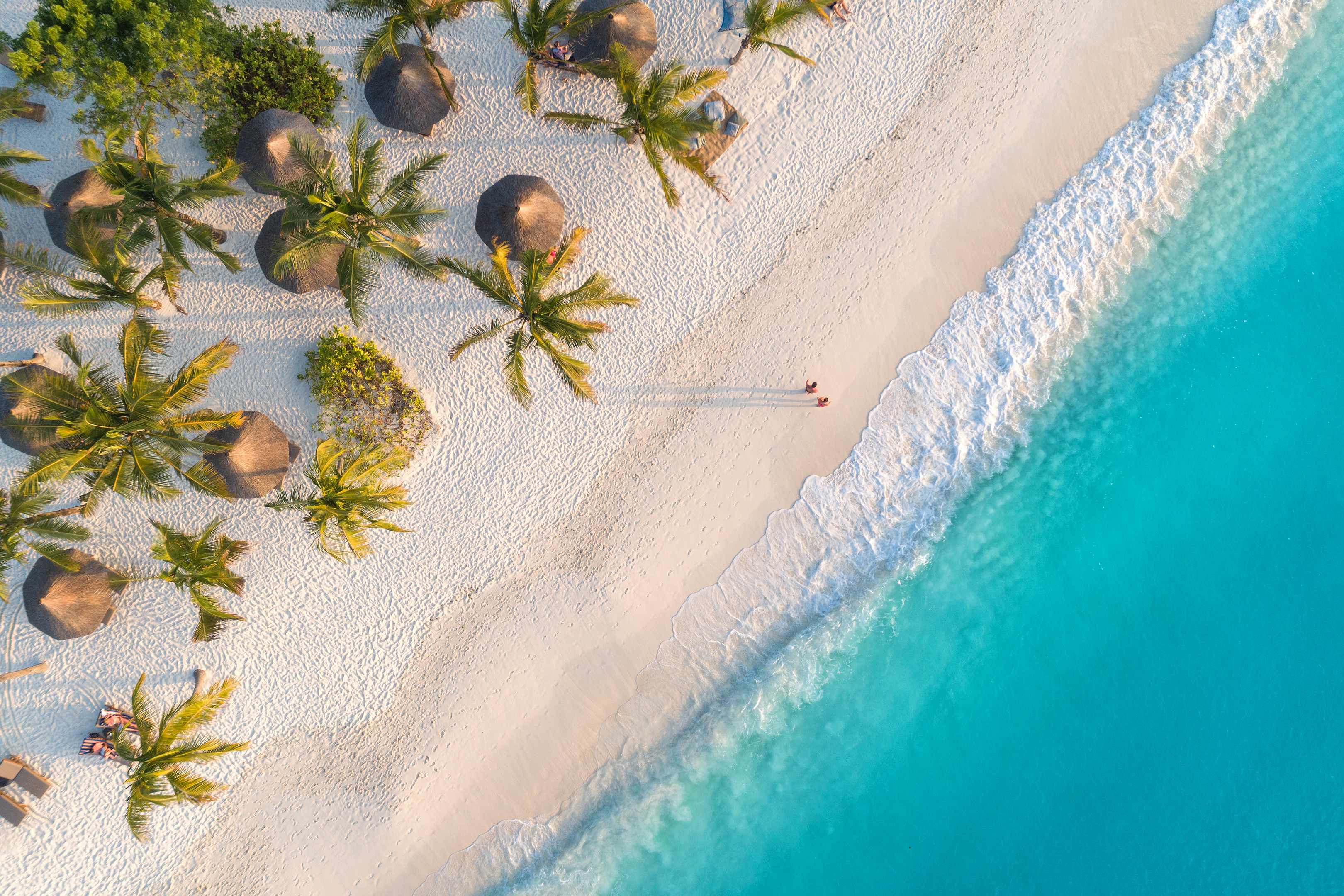 https://s1.travix.com/images/africa-zanzibar-tanzania-beach-aereal-view-palm-trees.png https://s1.travix.com/images/africa-zanzibar-tanzania-beach-aereal-view-palm-trees.png