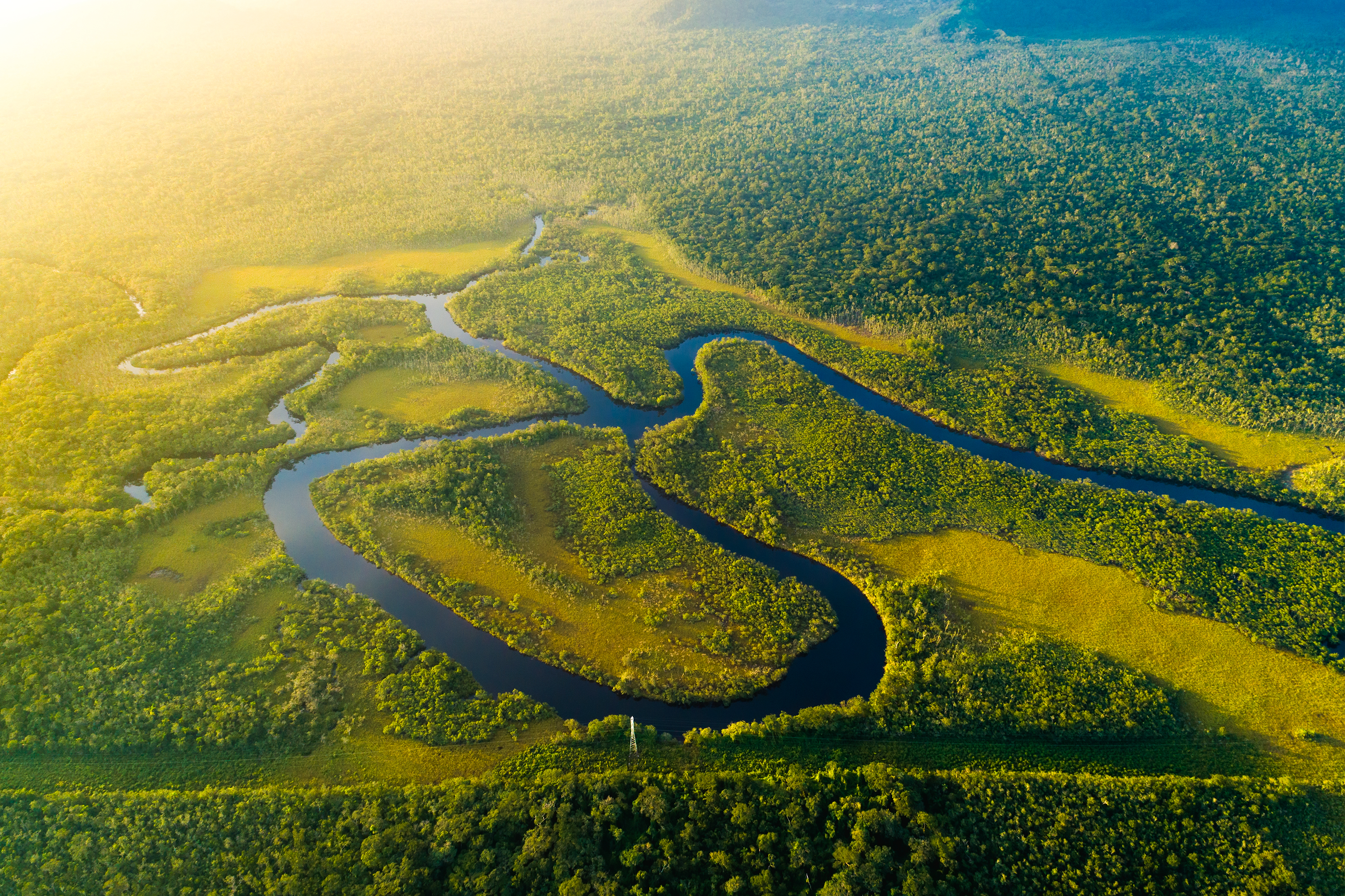 https://s1.travix.com/images/south-america-brazil-amazon.png