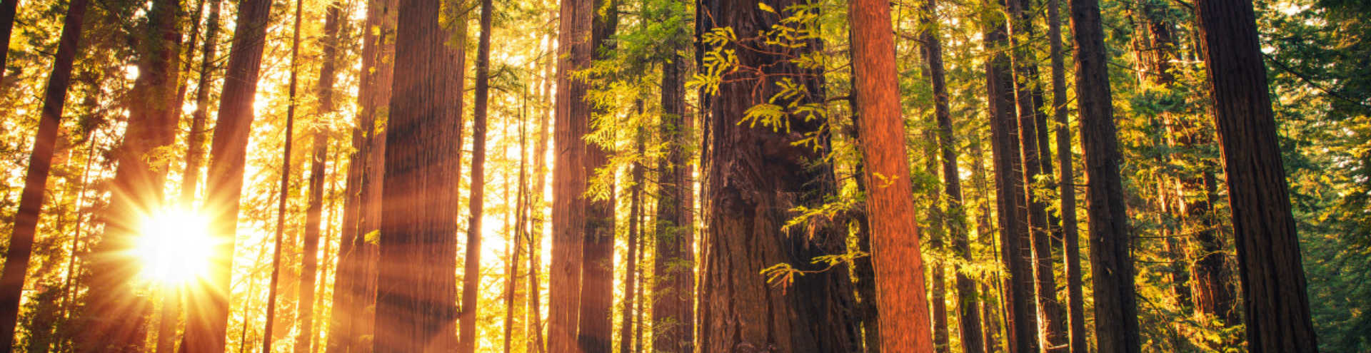 Mooiste natuurwonderen ter wereld - Deel 3