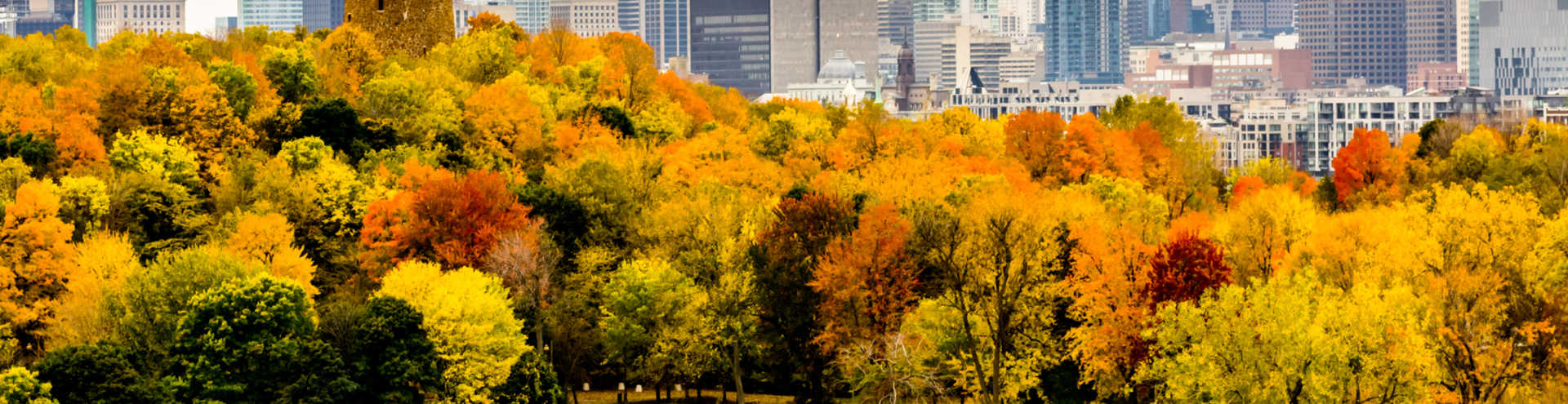 //s1.travix.com/no/north-america-canada-montreal-autumn-xlarge.jpg