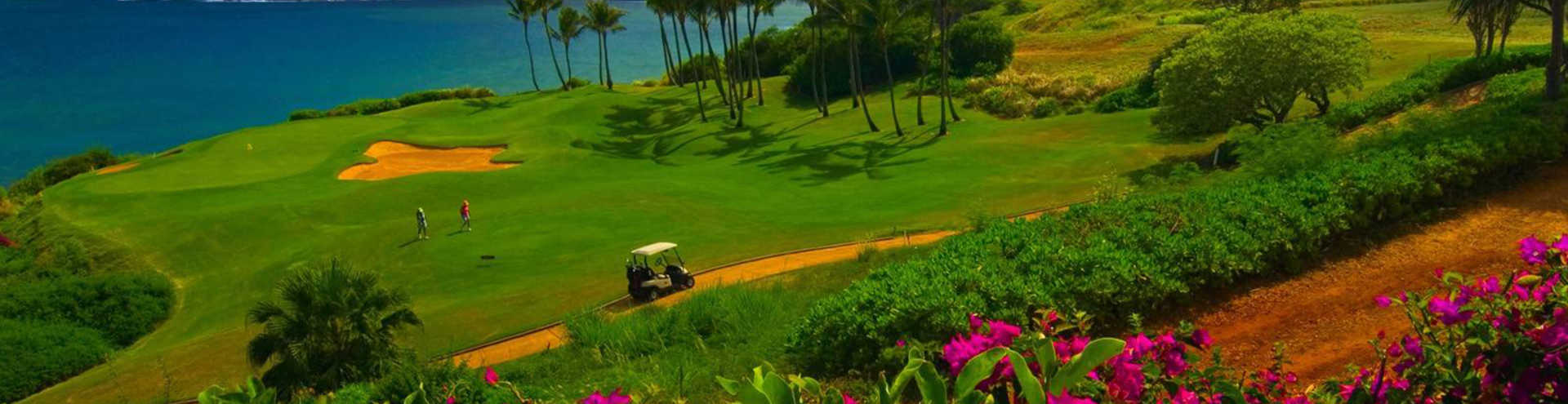 //s1.travix.com/no/north-america-hawai-blossom-xlarge.jpg