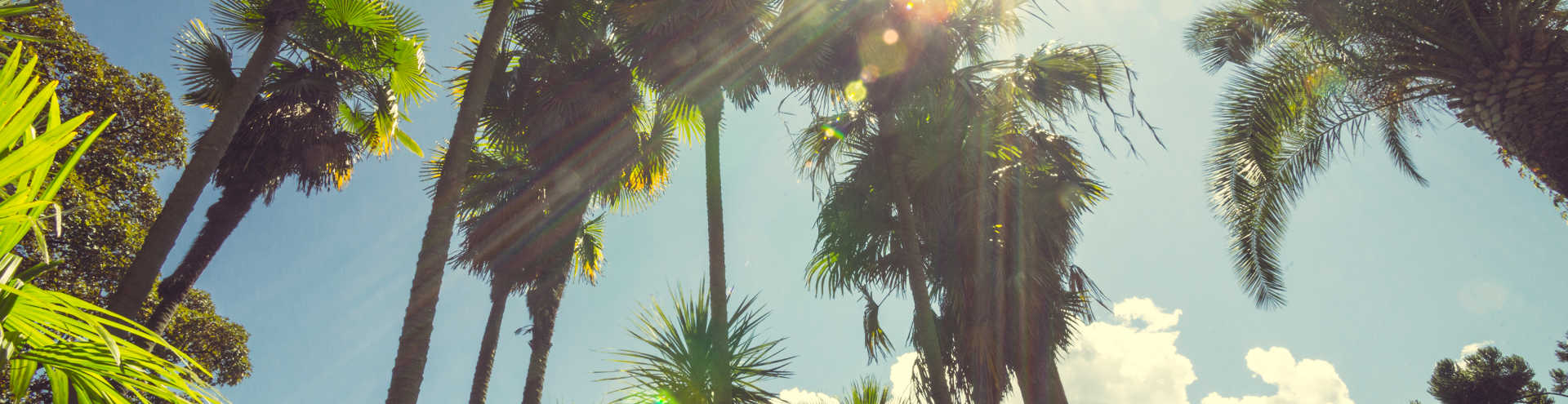 Get Lost in the City of Angels