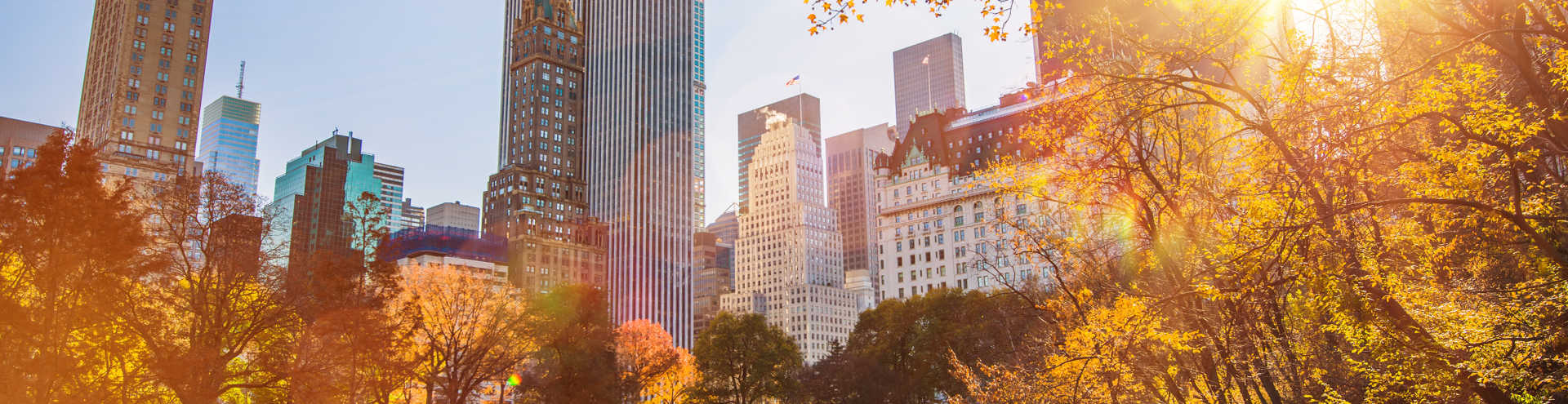 5 kostenlose Aktivitäten in New York