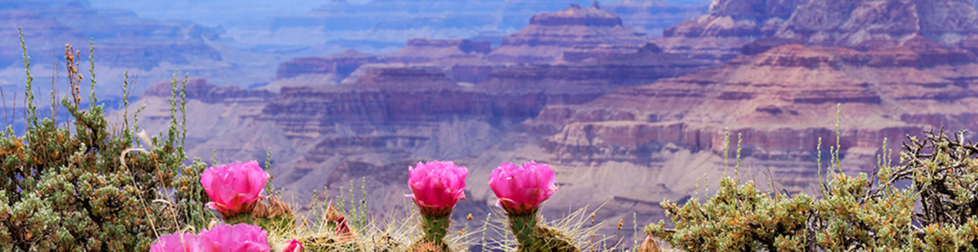 //s1.travix.com/no/north-america-us-grand-canyon-xlarge.jpg