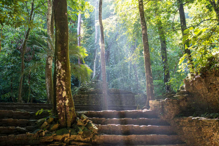 https://s1.travix.com/so/south-america-mexico-palenque-maya-temple-jungle-sun-xlarge.jpg
