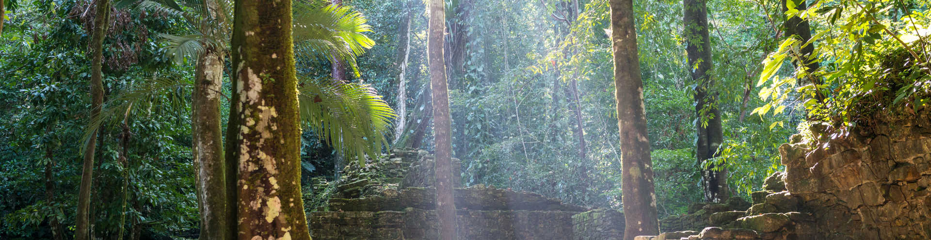 https://s1.travix.com/so/south-america-mexico-palenque-maya-temple-jungle-sun-xlarge.jpg