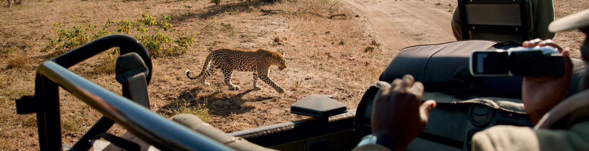 https://s1.travix.com/tb/tb-africa-south-africa-safari-1-xlarge.jpg