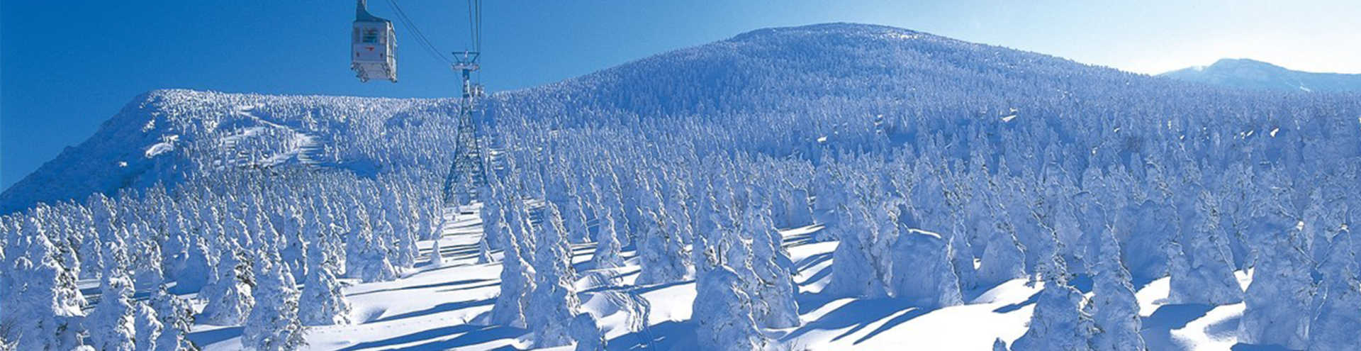 https://s1.travix.com/tb/tb-japan-tohoku-region-xlarge.jpg