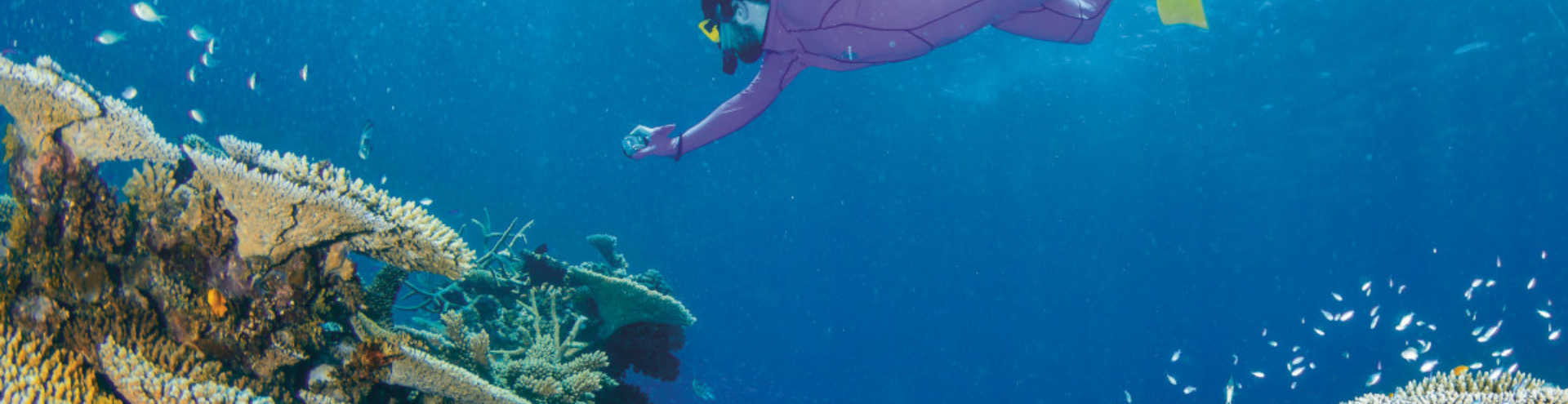 https://s1.travix.com/tb/tb-oceania-australia-great-barrier-reef-xlarge.jpg
